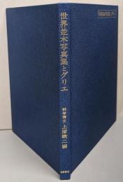 世界並木写真集とグリエ