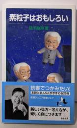 素粒子はおもしろい (岩波ジュニア新書)