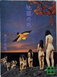 他国の死<講談社文庫>