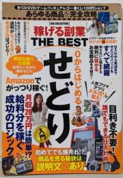 稼げる副業 THE BEST (DIACOLLECTION)