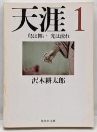 天涯 1 (鳥は舞い光は流れ)<集英社文庫>