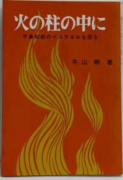 火の柱の中に : 手島郁郎のイスラエルを探る