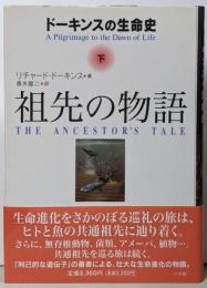 祖先の物語 : ドーキンスの生命史 下
