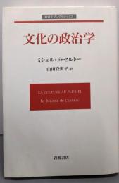 文化の政治学 (岩波モダンクラシックス)