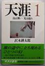天涯 1 鳥は舞い 光は流れ (集英社文庫)