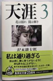 天涯 3 花は揺れ 闇は輝き (集英社文庫)