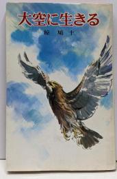 大空に生きる<ポプラ社文庫>