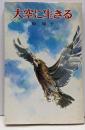 大空に生きる<ポプラ社文庫>