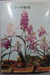 野生ランの栽培