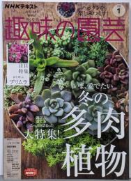 NHKテキスト趣味の園芸 2023年1月号 冬の多肉植物～厳選品種・寄せ植え・メセンなど/プリムラ/ハボタン ほか