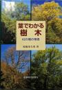 葉でわかる樹木 : 625種の検索