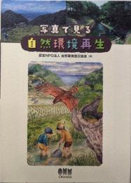 写真で見る 自然環境再生