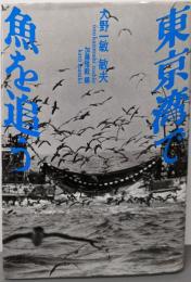 東京湾で魚を追う