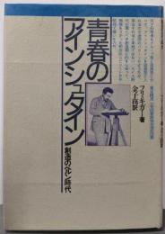 青春のアインシュタイン 新装: 創造のベルン時代