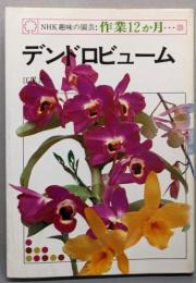 デンドロビューム<NHK趣味の園芸:作業12か月>
