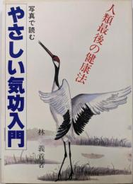 写真で読むやさしい気功入門