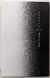 メゾティント (句集)