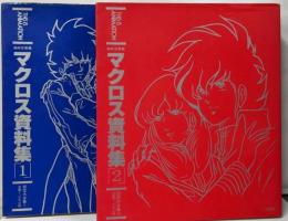 超時空要塞マクロス 資料集 2冊セット THIS IS ANIMATION 設定大全集