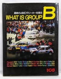 WHAT IS GROUP B？ 最新の4WDラリーカーを探る 別冊CG