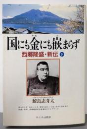 国にも金にも嵌まらず : 西郷隆盛・新伝 下