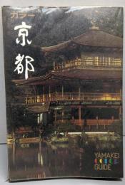 カラー京都<山渓カラーガイド17>