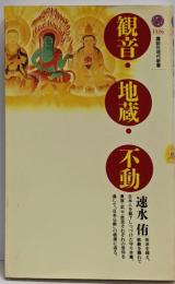 観音・地蔵・不動 (講談社現代新書 1326)