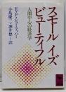 スモール・イズ・ビューティフル :人間中心の経済学<講談社学術文庫>