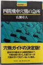 四間飛車穴熊の急所<最強将棋21>