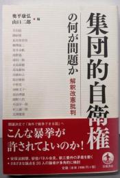 集団的自衛権の何が問題か──解釈改憲批判