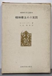 精神療法その実践<精神科学全書>