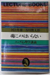 魂にメスはいらない : ユング心理学講義<Lecturebooks>
