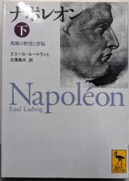 ナポレオン 下: 英雄の野望と苦悩 (講談社学術文庫1660)