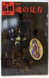 季刊 仏教 (44号) 特集  魂の見方