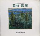 佐竹徳展図録 : 清澄な自然への祈り