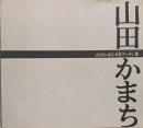 山田かまち水彩デッサン集