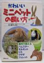 かわいいミニペットの飼い方:室内で飼えるハムスター・モルモット・リス・ウサギ・フェレット