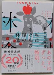 私はあなたの瞳の林檎 (講談社文庫 ま 49-12)