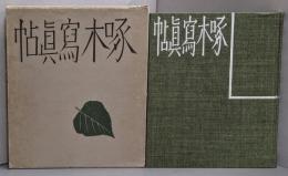 啄木写真帖　覆刻版