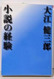 小説の経験<朝日文芸文庫>