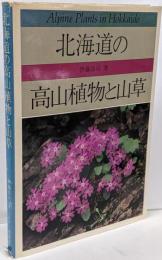 北海道の高山植物と山草