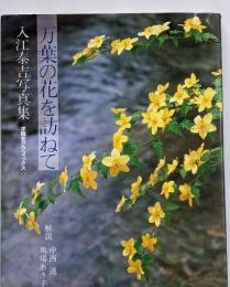 万葉の花を訪ねて : 入江泰吉写真集<求竜堂グラフィックス万葉集>