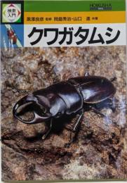 クワガタムシ (検索入門)