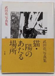 猫・陽のあたる場所 : 武田花写真集