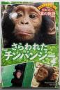 野生どうぶつを救え! 本当にあった涙の物語さらわれたチンパンジー