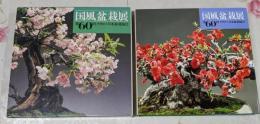 国風盆栽展 第60回