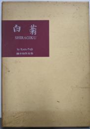 白菊 SIRAGIKU 藤井和作品集