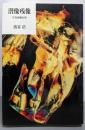 潜像残像: 写真体験60年 (筑摩叢書 348)
