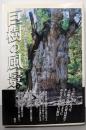 巨樹の風景 : 「平成の巨樹信仰」を検証する