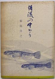 清流の中から