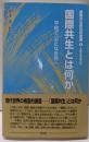 国際共生とは何か: 平和で公正な世界へ (国際共生研究所叢書3)